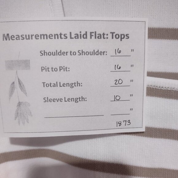 Women's White/Tan Striped Square Neck Short Sleeve Tee Size XL - 3FOR$25 - - Picture 6 of 6